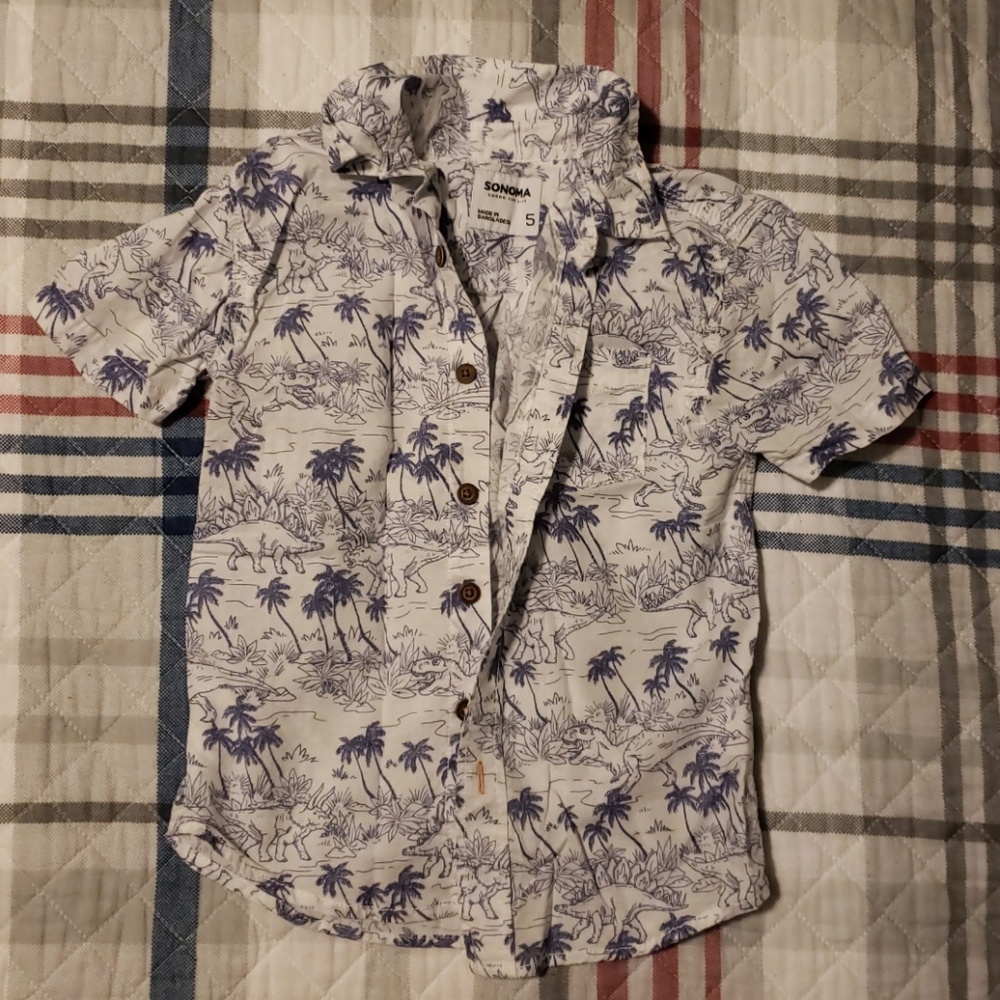 Dinosaur Hawaiian button down shirt